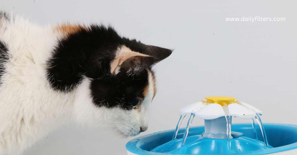 Water Filter for Pet Fountain